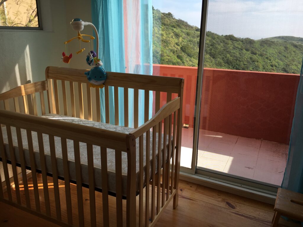 Delta Children 4-in-1 Canton Crib Finished Assembly with Mattress and Mobile in Malibu