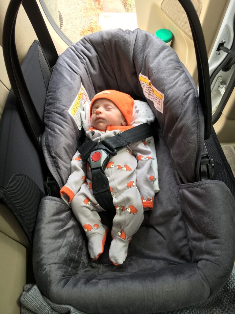 Car seat 2025 bed preemies