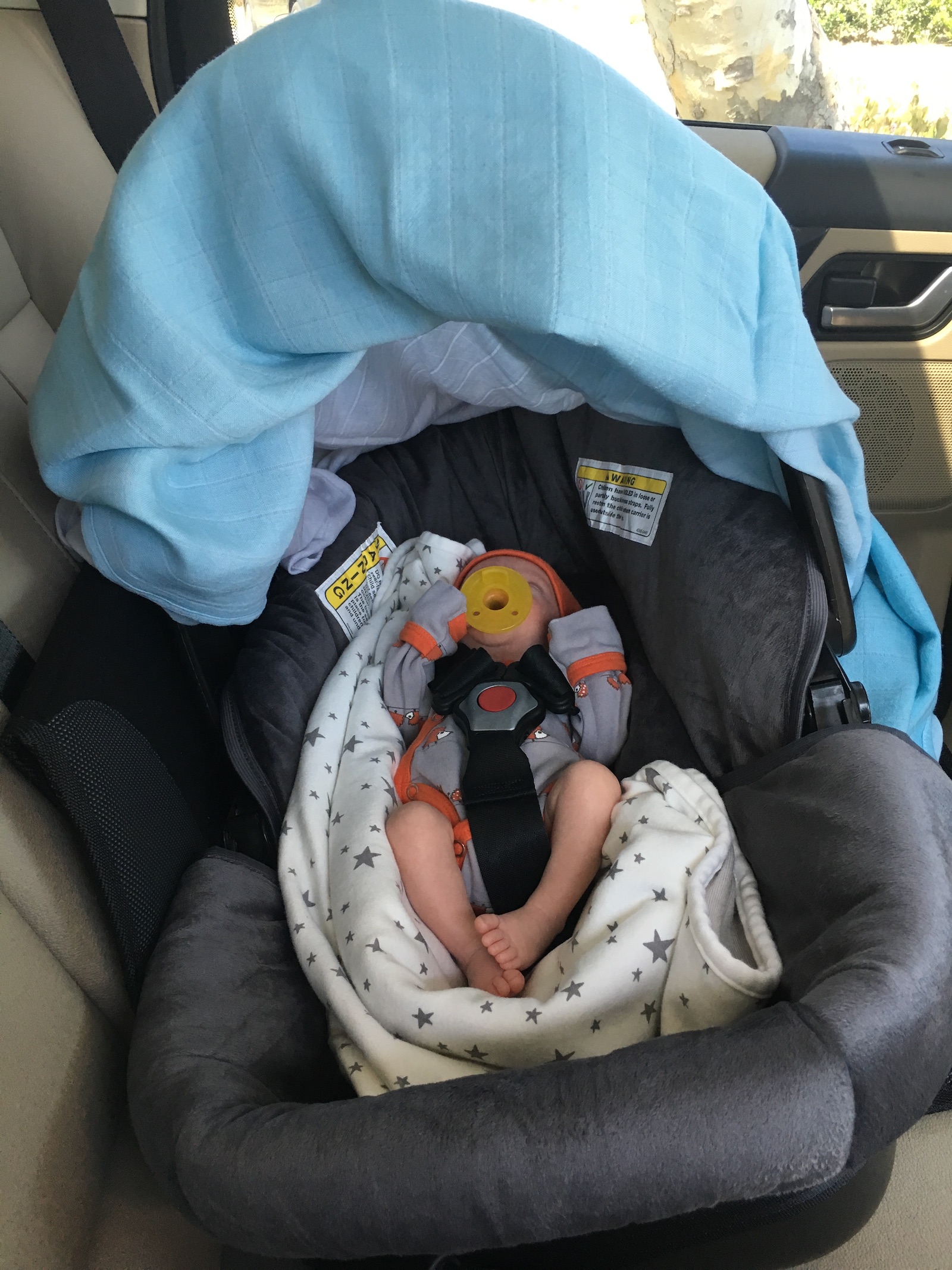 newborn baby boy in car seat