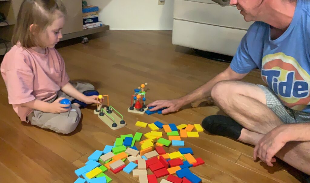 STEAM and STEM Dominoes Activities for the whole family from toddler to adult